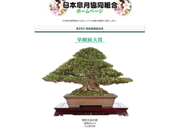 皐月展 皐月展大賞受賞