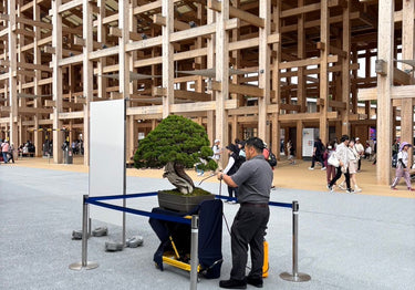 手がけた盆栽 万博に出展