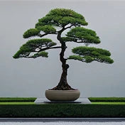 المنتج التجريبي 1